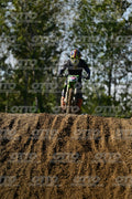 377 · DSH_9452