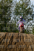145 · DSH_9460