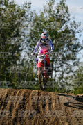 145 · DSH_9462