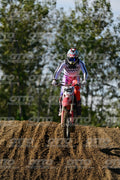 145 · DSH_9463