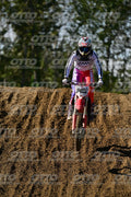 145 · DSH_9464