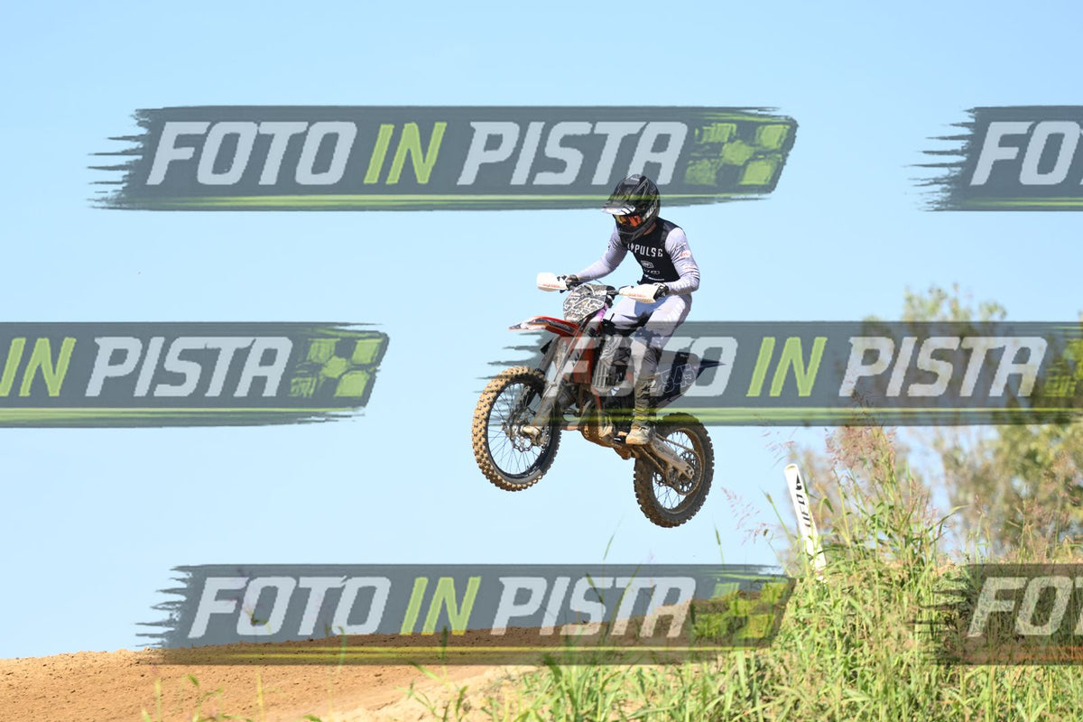 545 · DSH_9490