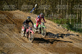 276 · DSH_9511