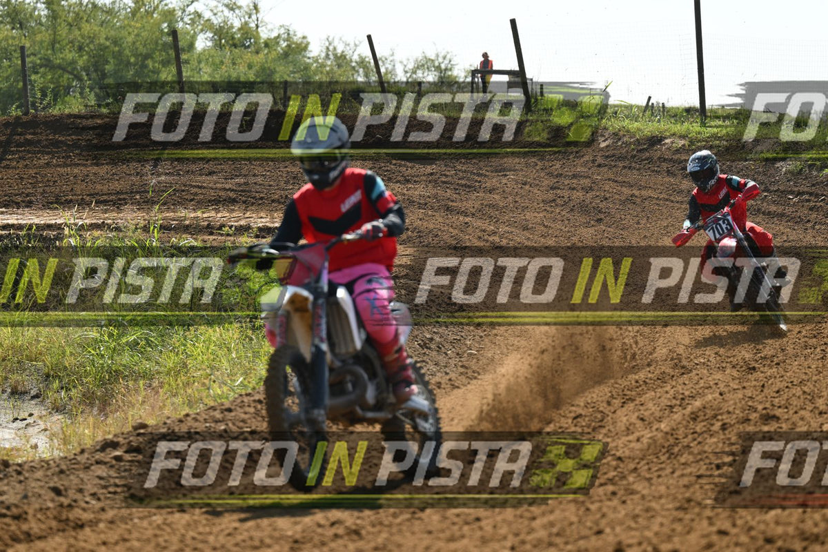 703 · DSH_9516