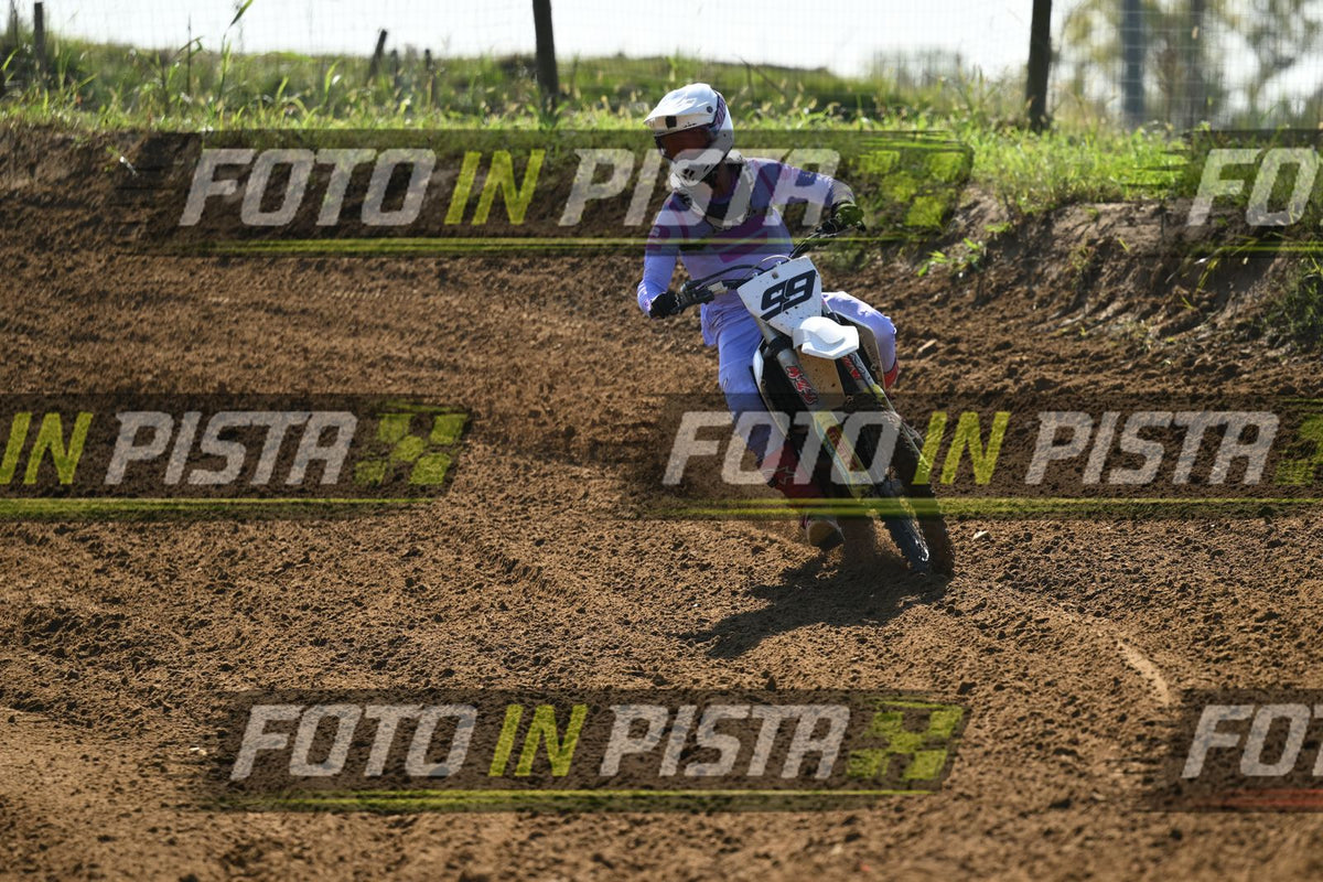 99 · DSH_9531