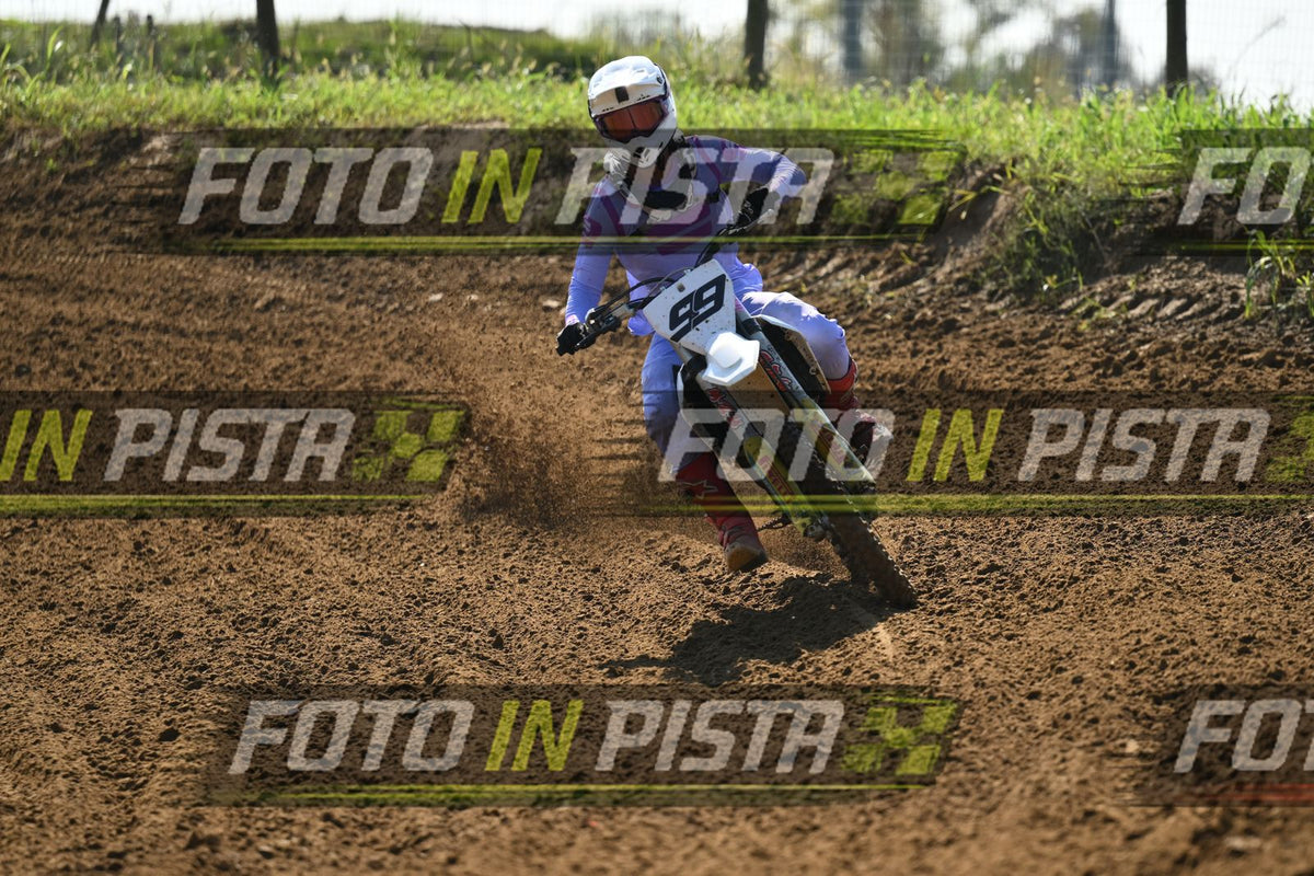 99 · DSH_9533