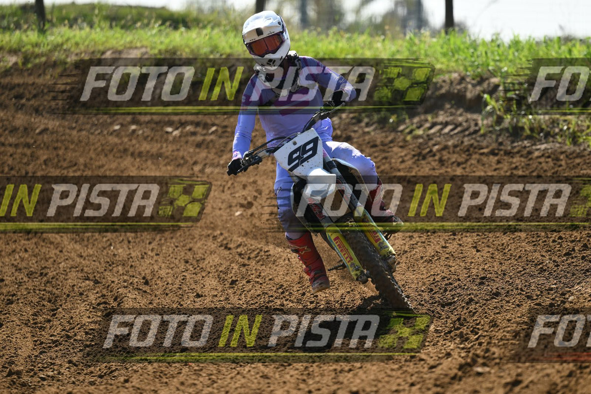 99 · DSH_9536