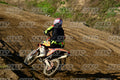 77 · DSH_9563