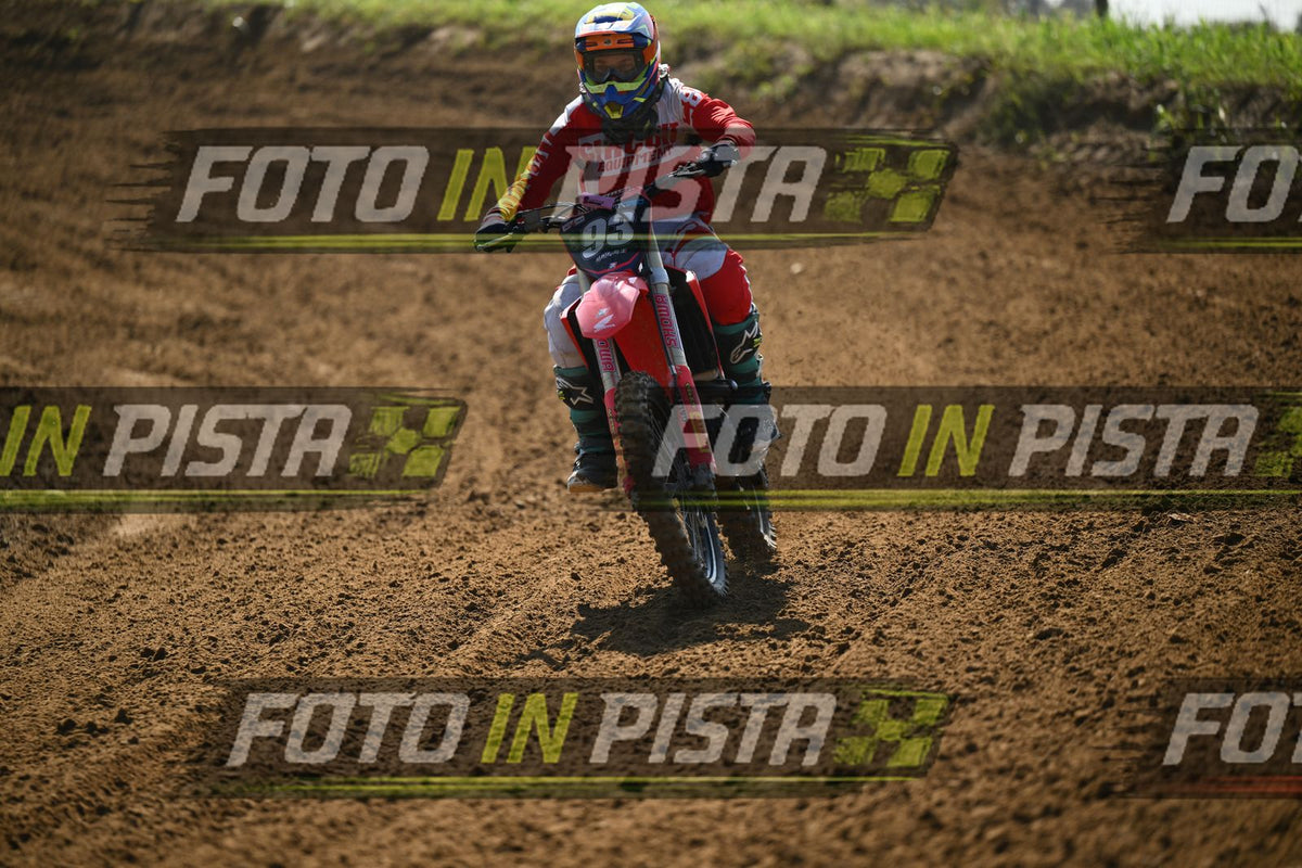93 · DSH_9564