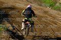 77 · DSH_9565