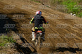 77 · DSH_9566