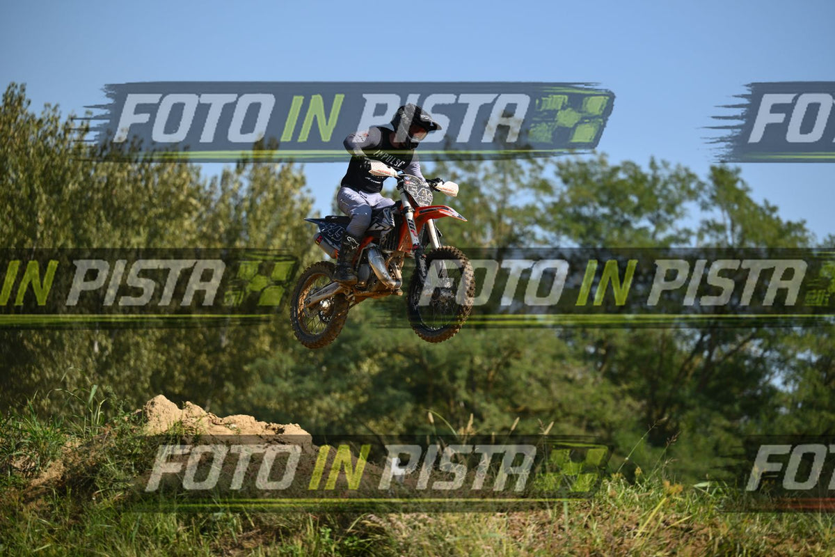545 · DSH_9608