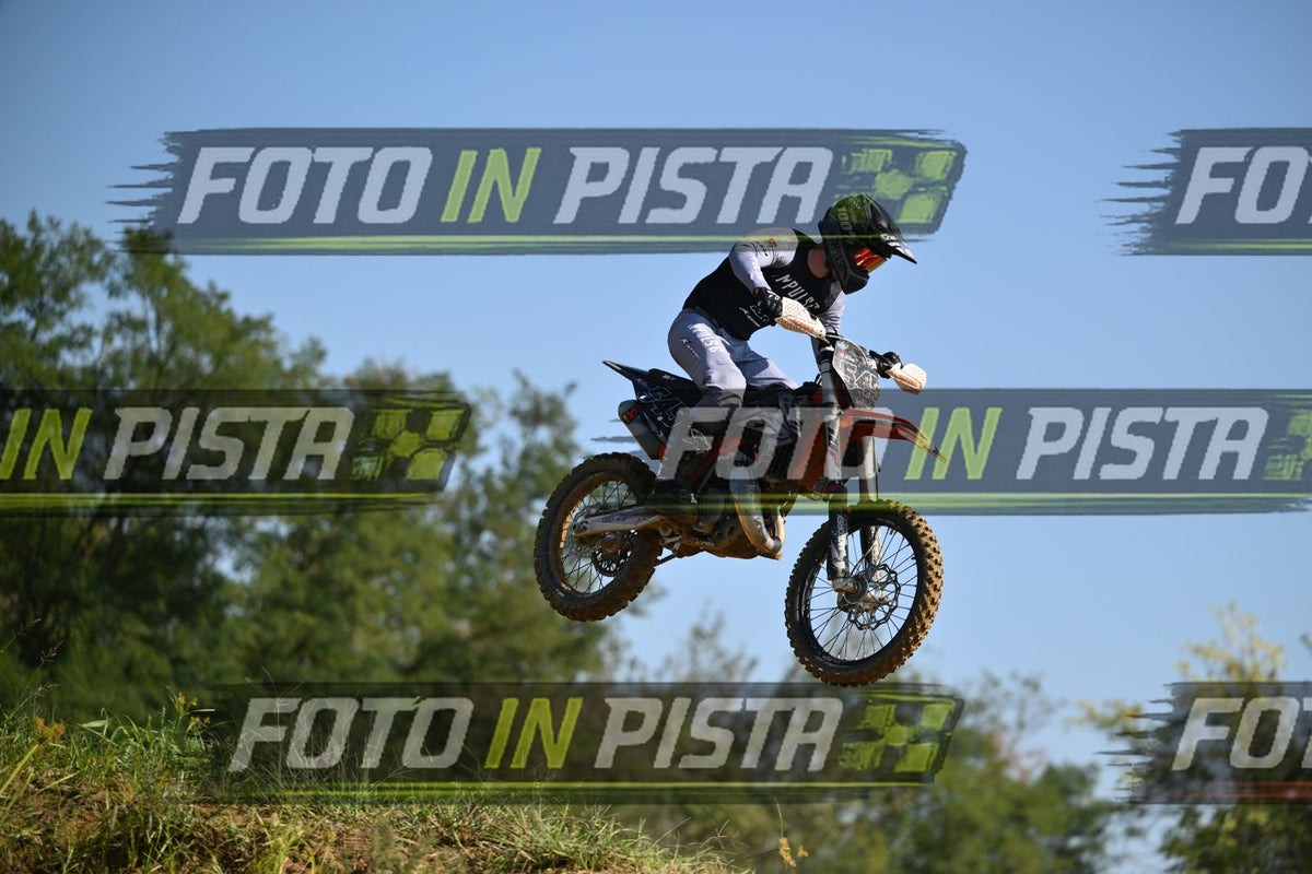 545 · DSH_9613