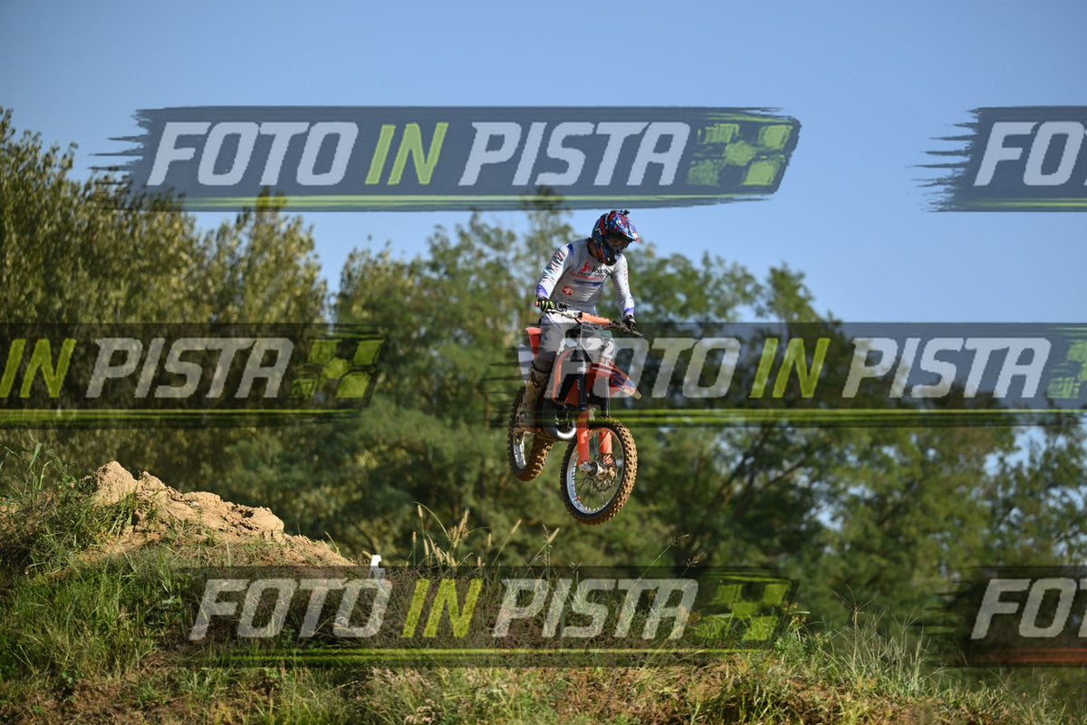 22 · DSH_9619