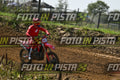 239 · DSH_9645