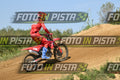 239 · DSH_9650
