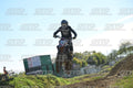 153 · DSH_9650