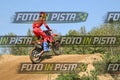 239 · DSH_9656