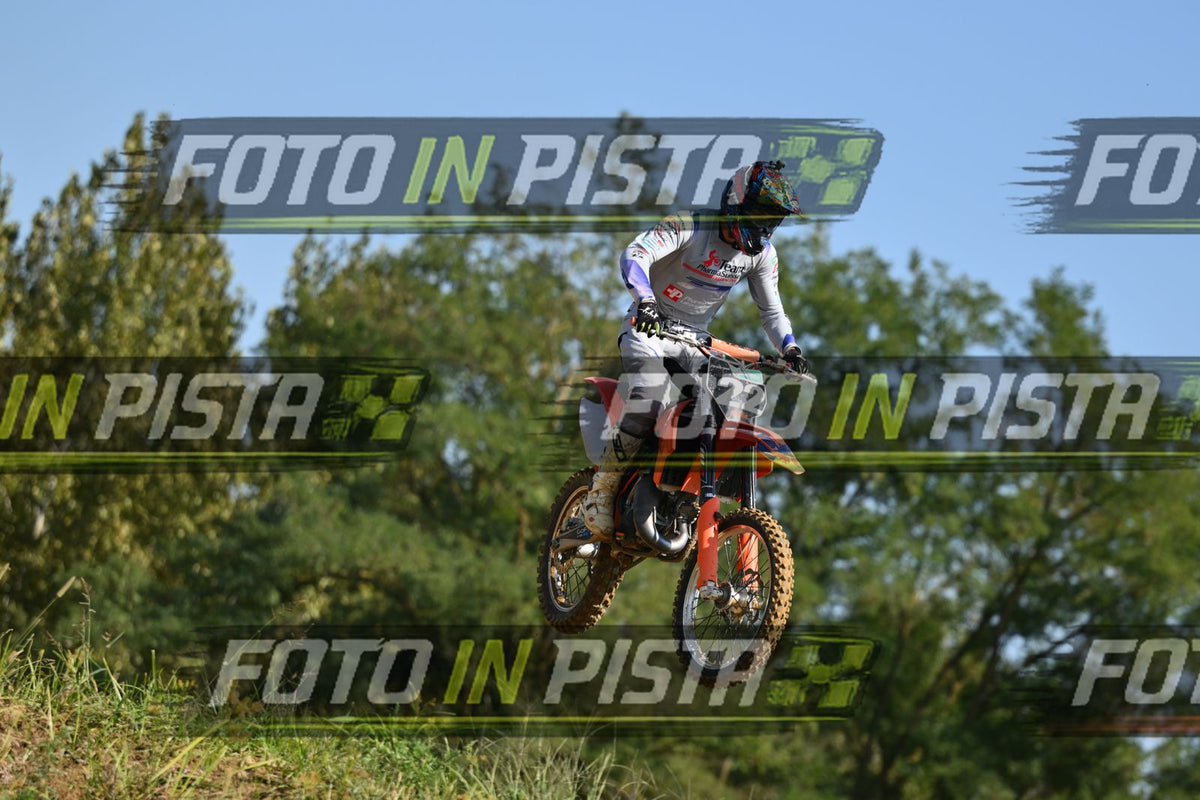 22 · DSH_9798