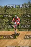 93 · DSH_9855