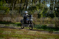 FETTUCCIATO · DSH_9894