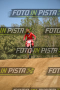 239 · DSH_9909