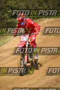 239 · DSH_9917
