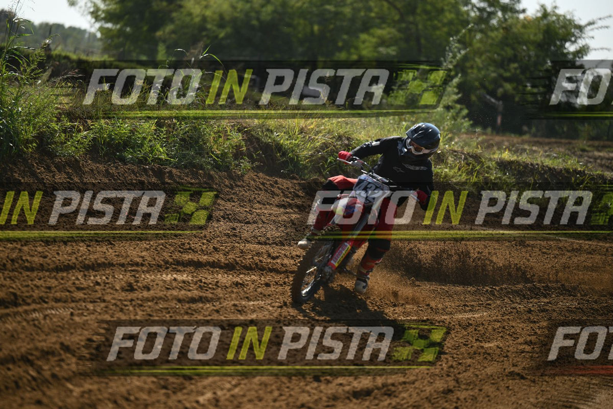 432 · DSH_9931