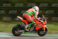 PITBIKE - SCOOTER 15 · DSH_9986