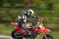 PITBIKE - SCOOTER 0 - RED HONDA - BLU WHITE SUITE · DSH_9996
