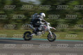 TALENT 87 · DSN_2306