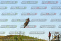 Foto GARAFMI2106261PROVA85CC numero 346