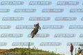 Foto GARAFMI2106261PROVA85CC numero 347