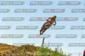 Foto GARAFMI2106261PROVA85CC numero 467