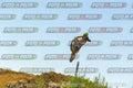 Foto GARAFMI2106261PROVA85CC numero 611