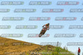 Foto GARAFMI2106261PROVA85CC numero 789