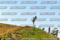 Foto GARAFMI2106261PROVA85CC numero 802