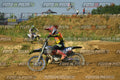 Foto GARAFMI2106261PROVAMX1MX2-1012 numero 1012