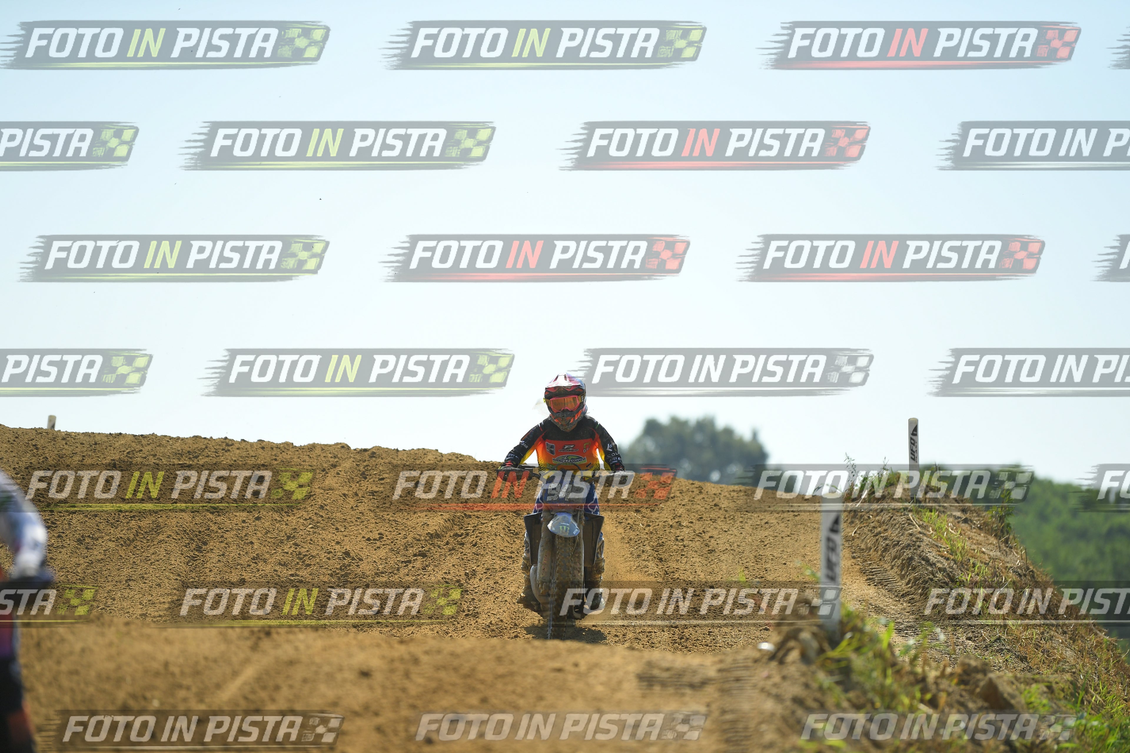 Foto GARAFMI2106261PROVAMX1MX2-276 numero 276