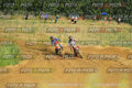 Foto GARAFMI2106261PROVAMX1MX2-462 numero 462