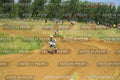 Foto GARAFMI2106261PROVAMX1MX2-478 numero 478