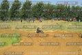 Foto GARAFMI2106261PROVAMX1MX2-501 numero 501