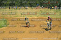 Foto GARAFMI2106261PROVAMX1MX2-511 numero 511