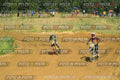 Foto GARAFMI2106261PROVAMX1MX2-512 numero 512