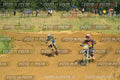 Foto GARAFMI2106261PROVAMX1MX2-513 numero 513