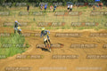 Foto GARAFMI2106261PROVAMX1MX2-537 numero 537