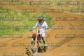 Foto GARAFMI2106261PROVAMX1MX2-561 numero 561