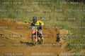 Foto GARAFMI2106261PROVAMX1MX2-686 numero 686