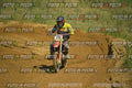 Foto GARAFMI2106261PROVAMX1MX2-687 numero 687