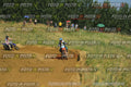 Foto GARAFMI2106261PROVAMX1MX2-732 numero 732